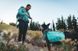 Шлейка-рюкзак для собаки Ruffwear Front Range™ XS Зеленый 30981 фото 11 изображение