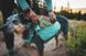 Шлейка-рюкзак для собак Ruffwear Front Range™ XS Зелений 30981 фото 12 зображення