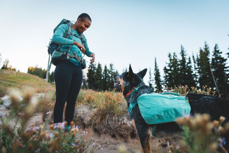 Шлейка-рюкзак для собаки Ruffwear Front Range™ XS Зеленый 30981 фото, изображение