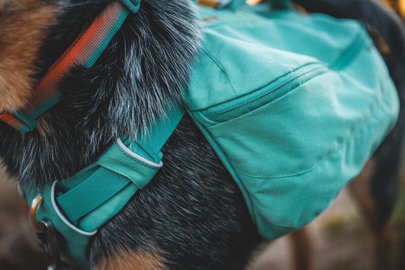 Шлейка-рюкзак для собаки Ruffwear Front Range™ XS Зеленый 30981 фото, изображение