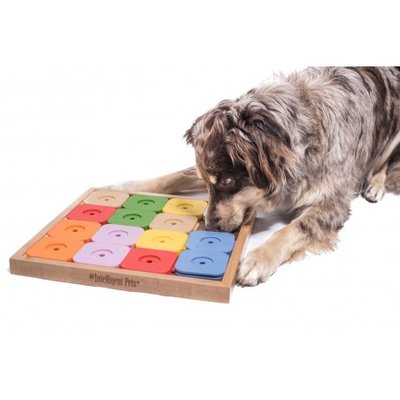 Інтерактивна іграшка для собак My Intelligent Pets Dog' SUDOKU® Medium Geni Color 31375 фото, зображення