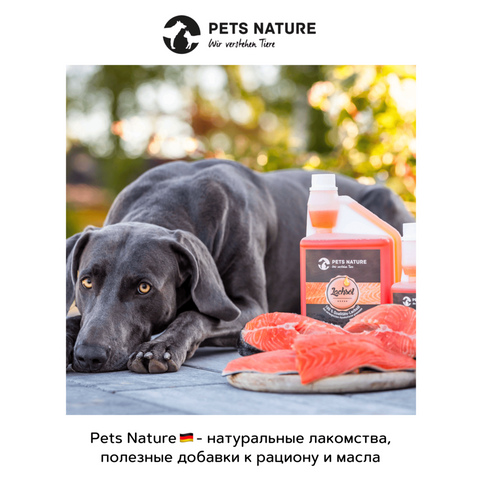 line 2_1(3x,m): Pets Nature