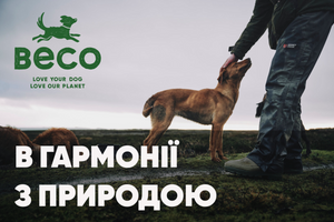 Beco Pets: Любовь к собаке, любовь к планете! фото