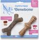 Набор из двух жевательных игрушек для щенков Benebone Puppy 2-Pack Maplestick/Zaggler Bacon Tiny бекон 27983 фото 1 изображение