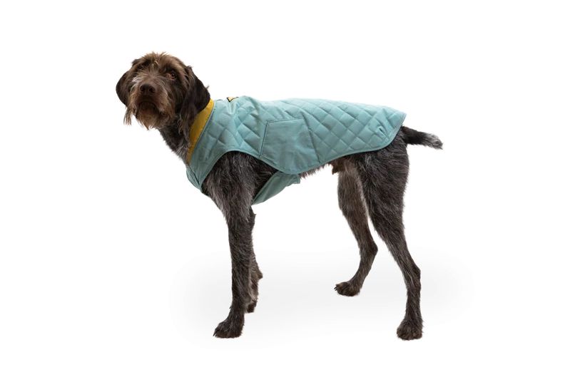 Пальто для собак Ruffwear Stumptown™ XXS Зелений 30485 фото, зображення