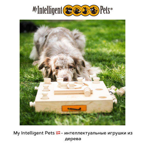 My Intelligent pets бренди