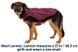 Куртка для собак Ruffwear Overcoat Fuse™ XXS Фіолетовий 30437 фото 5 зображення