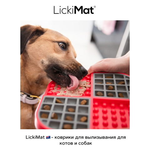 line 2_1(3x,m): LickiMat