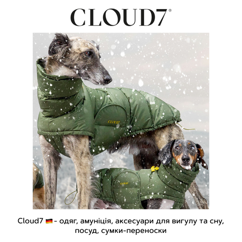 cloud7 tovary