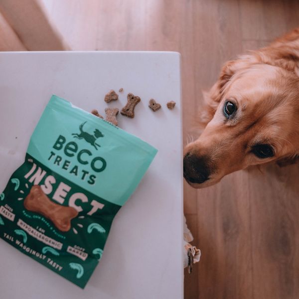 Гипоаллергенное печенье для собак Beco Pets Насекомые с яблоком и семенами чиа 70 г 31371 фото, изображение