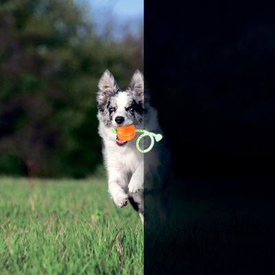 Іграшка для собак м'ячик Liker Lumi на канаті що світиться 5 см 27111 фото, зображення