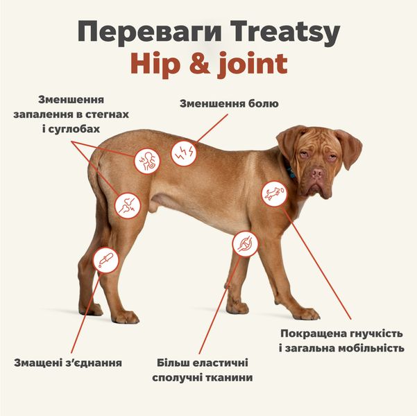 Вітамінний комплекс для м'язів та зв'язок собак Treatsy Hip & Joint 180 г 60 шт 32742 фото, зображення