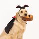 Комплект костюмів на Хелловін Дракула ZippyPaws Halloween Costume Kit Dracula з пищалкою 28508 фото 3 зображення