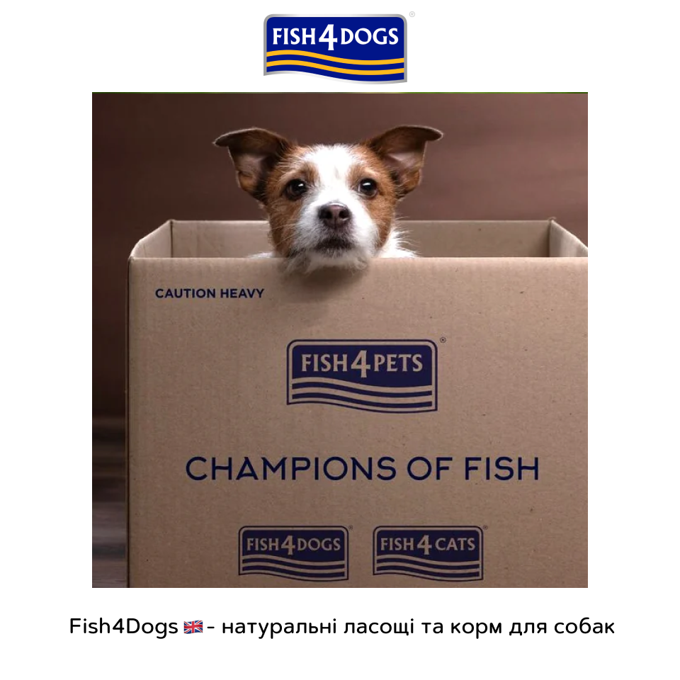 /fish4dogs/